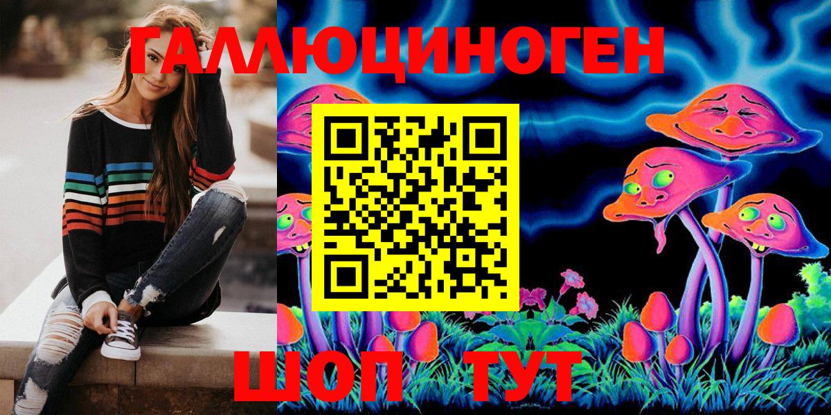 Псилоцибиновые грибы Psilocybine cubensis  Вход с VPN  Псилоцибиновые грибы Psilocybe  Новошахтинск 