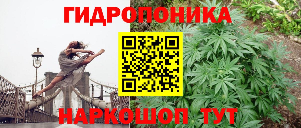 Бошки марихуана семена  Бошки Шишки планчик  Канабис Bruce Banner  Вход с VPN  Бошки Шишки конопля  Новошахтинск 